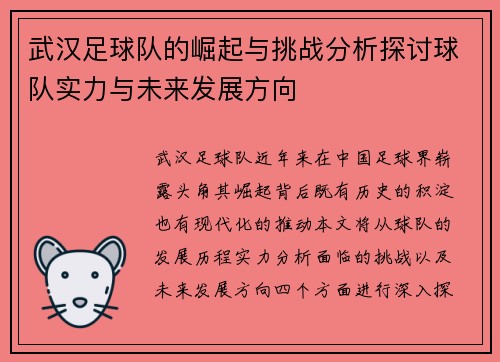 武汉足球队的崛起与挑战分析探讨球队实力与未来发展方向