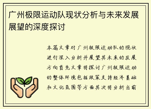 广州极限运动队现状分析与未来发展展望的深度探讨